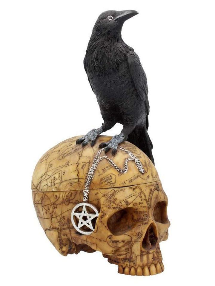 Salems Familiar Box Gothic Raven Skull Witch Pentagram Trinket 27cm