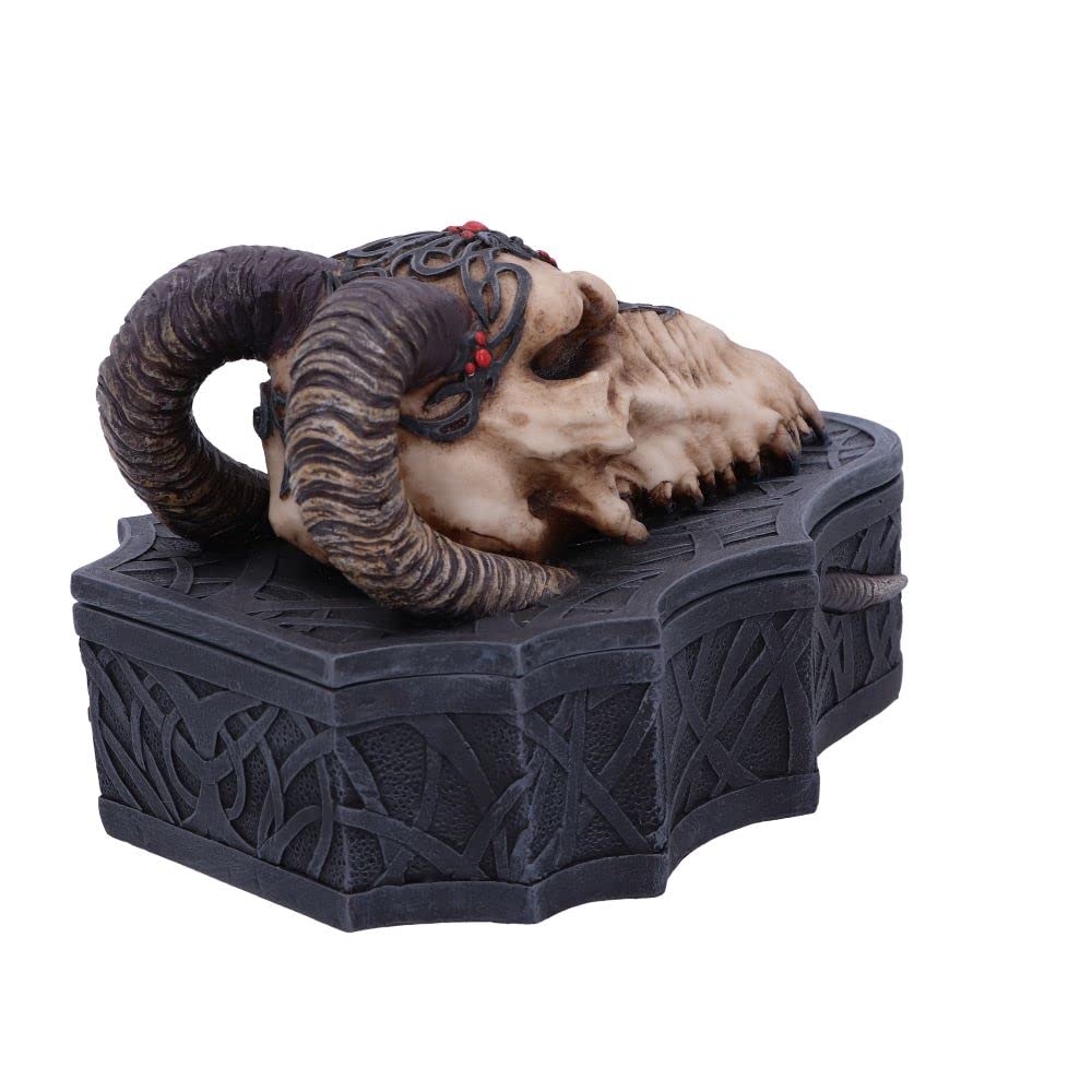 Dragon Skull Box Monte Moore 17.7cm