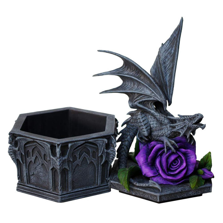 Anne Stokes Dragon Beauty Valentine Box 25cm