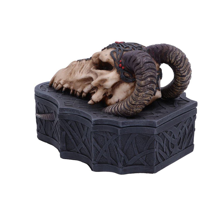Dragon Skull Box Monte Moore 17.7cm