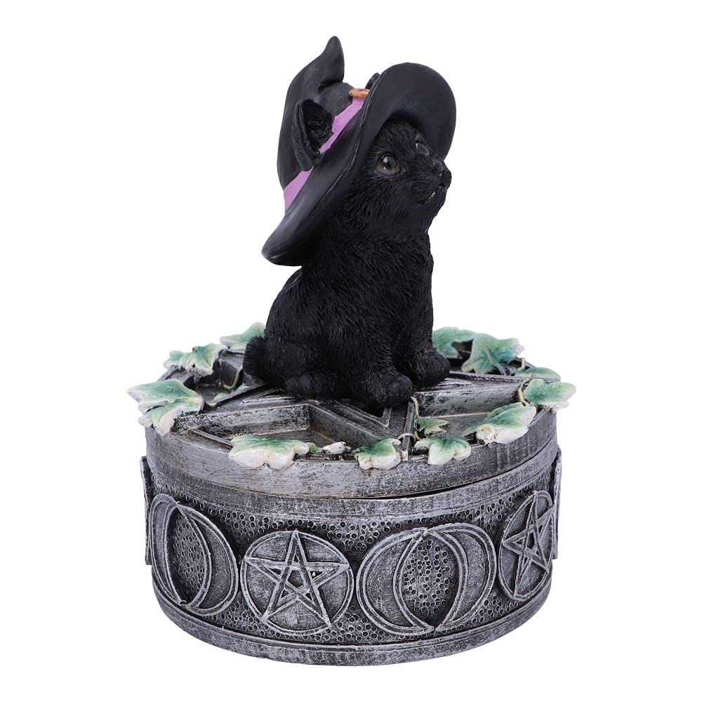 Ivy Familiar Box 15cm