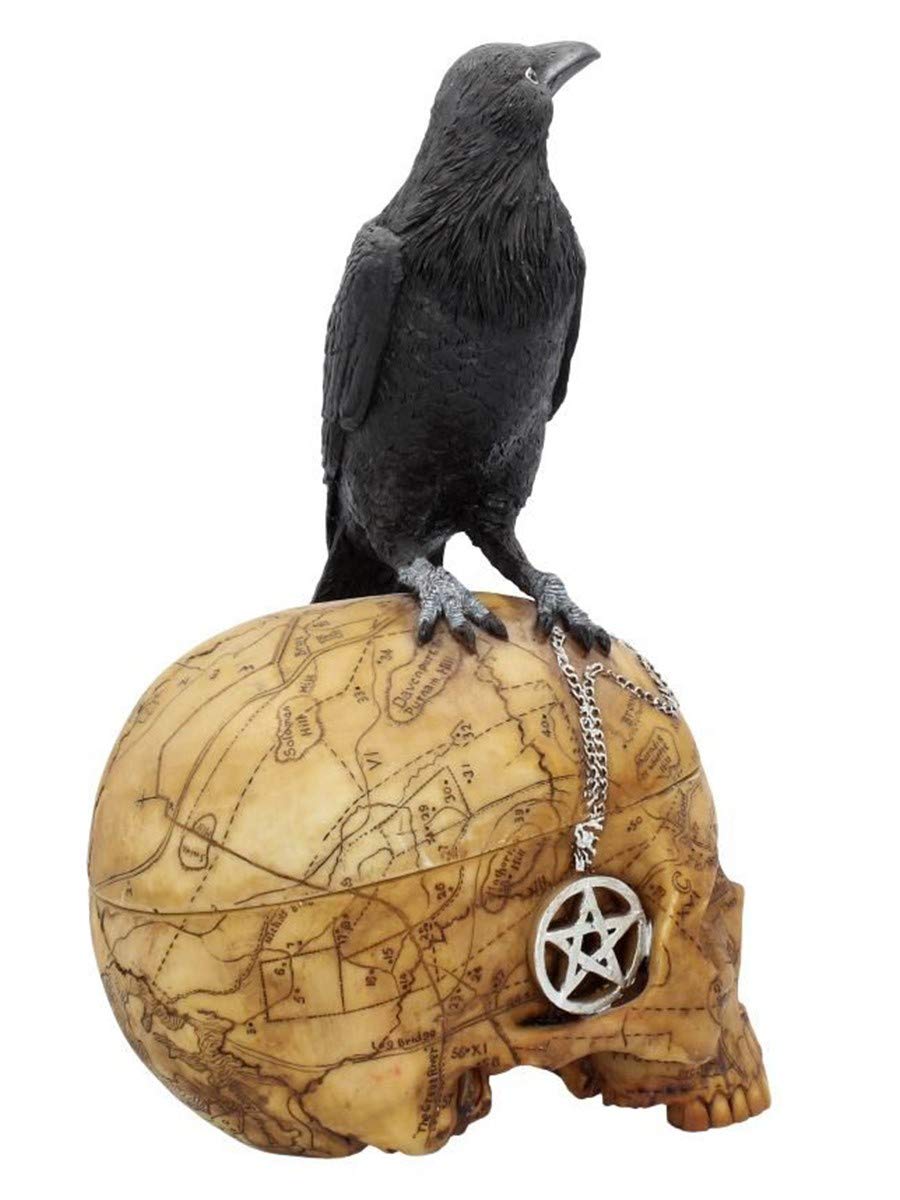 Salems Familiar Box Gothic Raven Skull Witch Pentagram Trinket 27cm