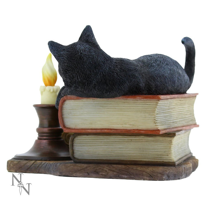 Witching Hour Cat Figurine by Lisa Parker Black Candle Ornament 20.5cm