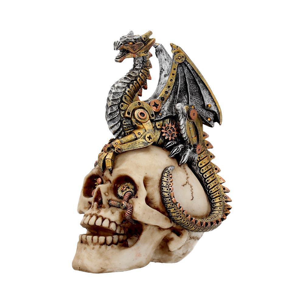 Dragons Grasp Steampunk Skull and Dragon 18.5cm