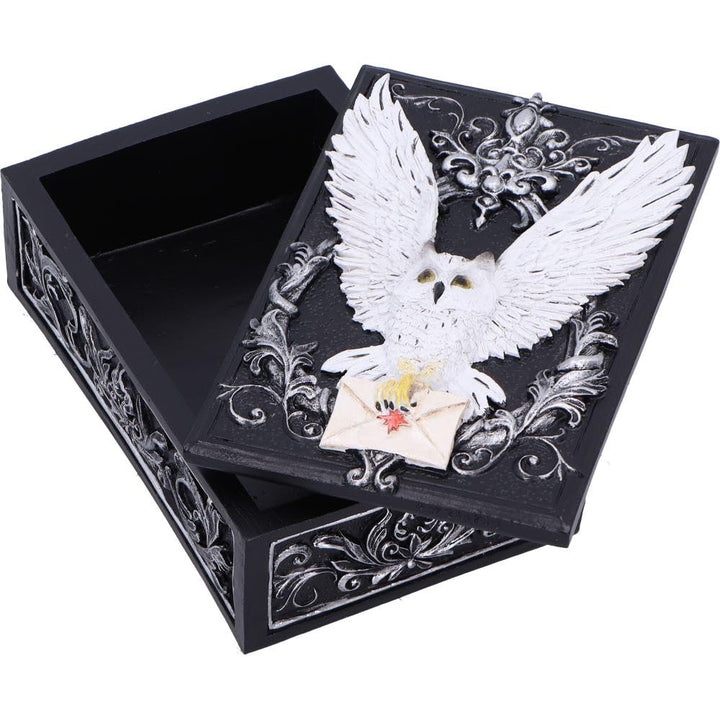 Owl Messenger Trinket Box 14cm