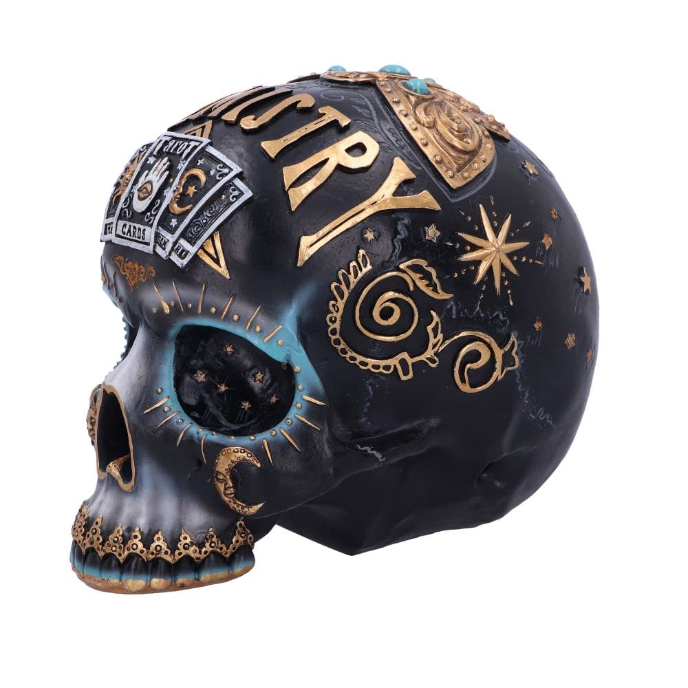 Destiny Palmistry Skull 18cm
