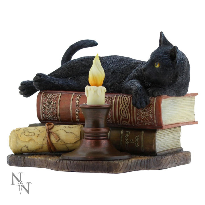 Witching Hour Cat Figurine by Lisa Parker Black Candle Ornament 20.5cm