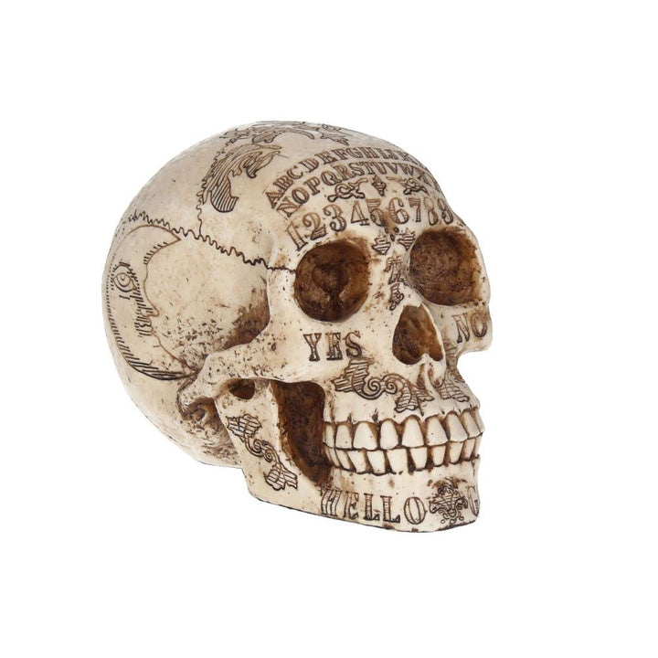 Nemesis Now Spirits Commune Skull 20cm