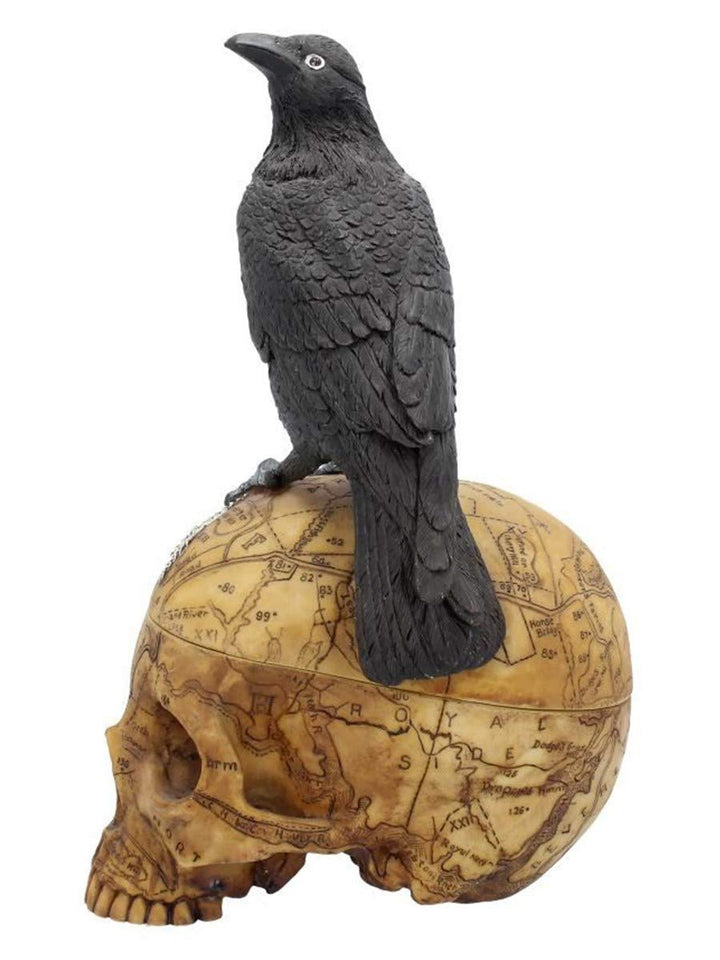 Salems Familiar Box Gothic Raven Skull Witch Pentagram Trinket 27cm