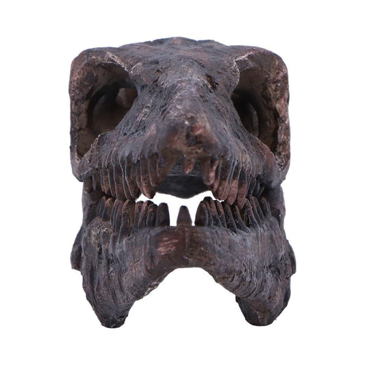 Archaeopteryx Skull Decorative Resin Replica 18cm 2