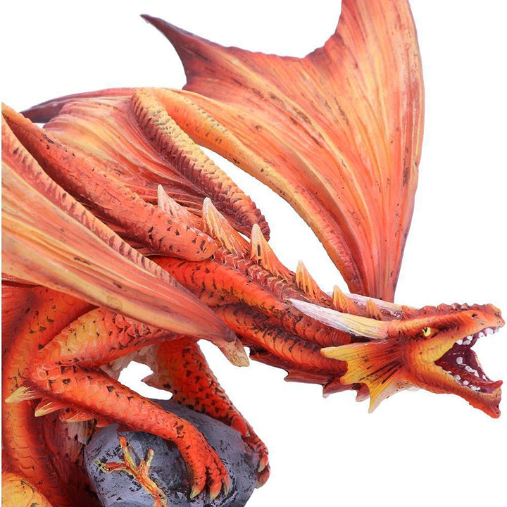 Adult Fire Dragon By Anne Stokes 24.5cm