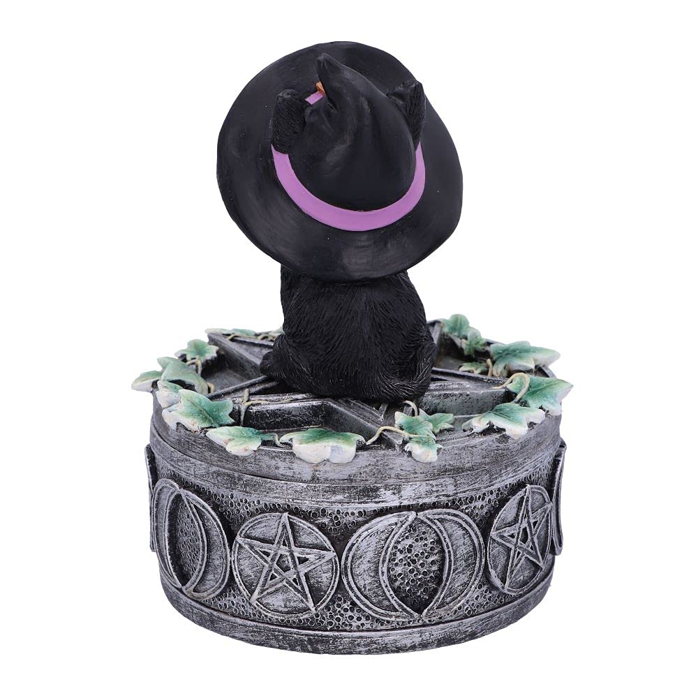 Ivy Familiar Box 15cm