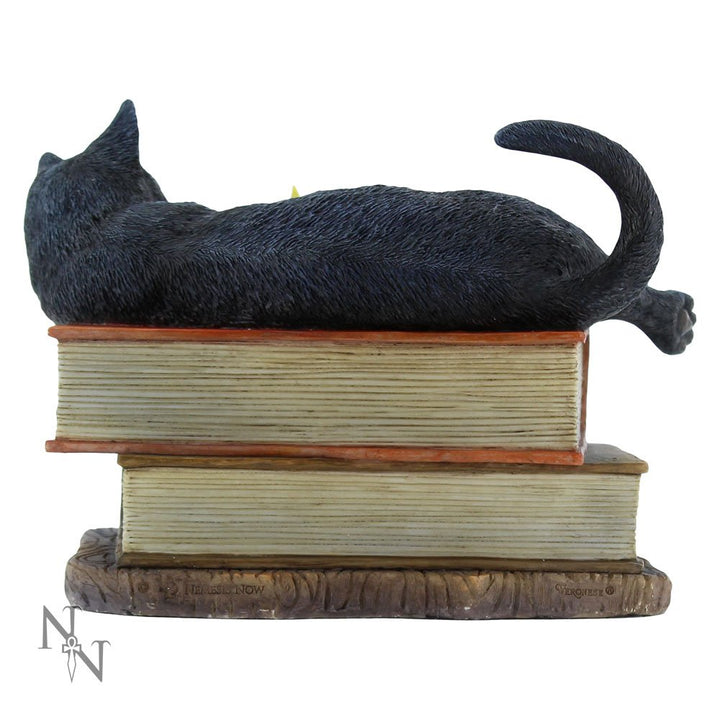 Witching Hour Cat Figurine by Lisa Parker Black Candle Ornament 20.5cm