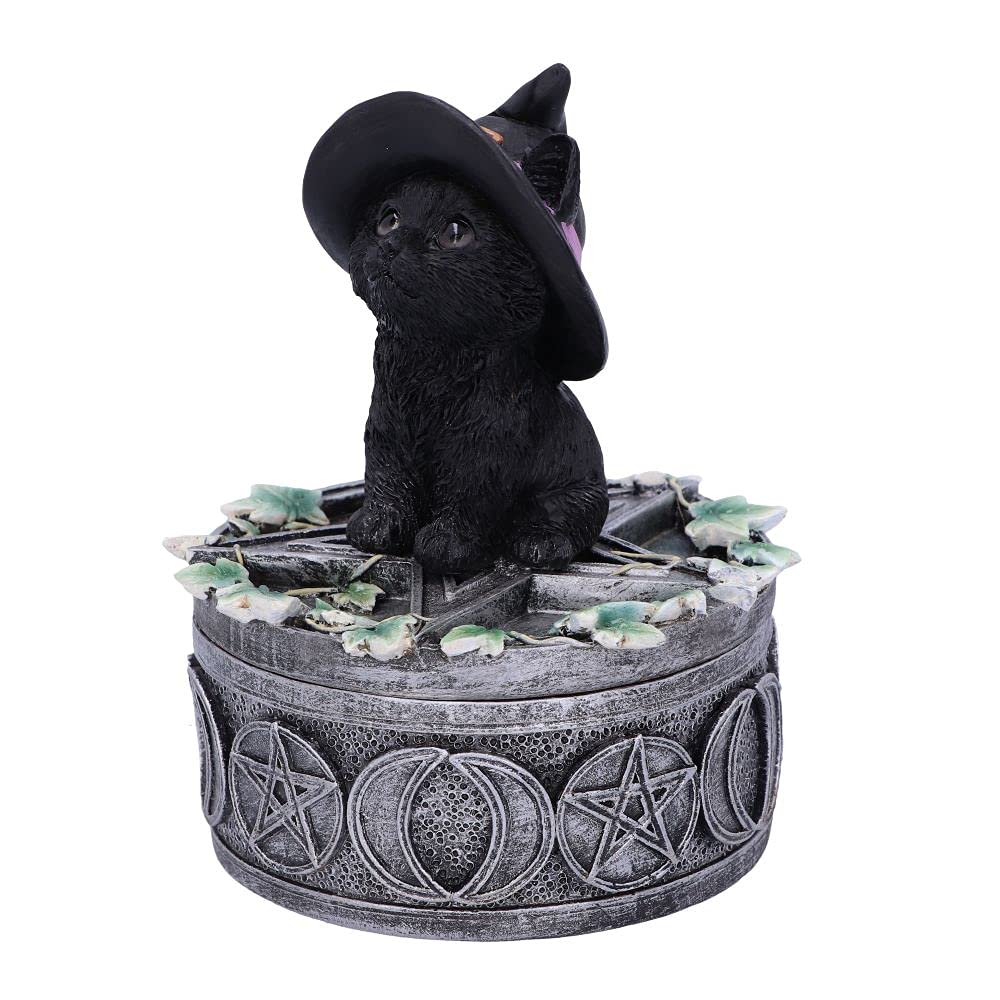 Ivy Familiar Box 15cm