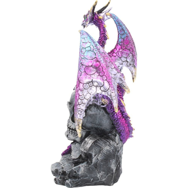 Loyal Defender Figurine Fantasy Gothic Dragon and Skull Ornament 22.5cm