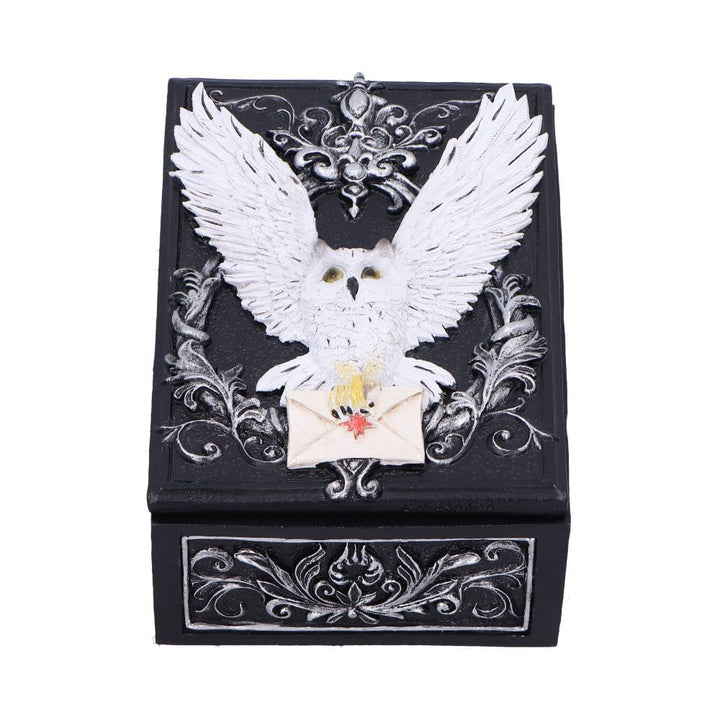 Owl Messenger Trinket Box 14cm