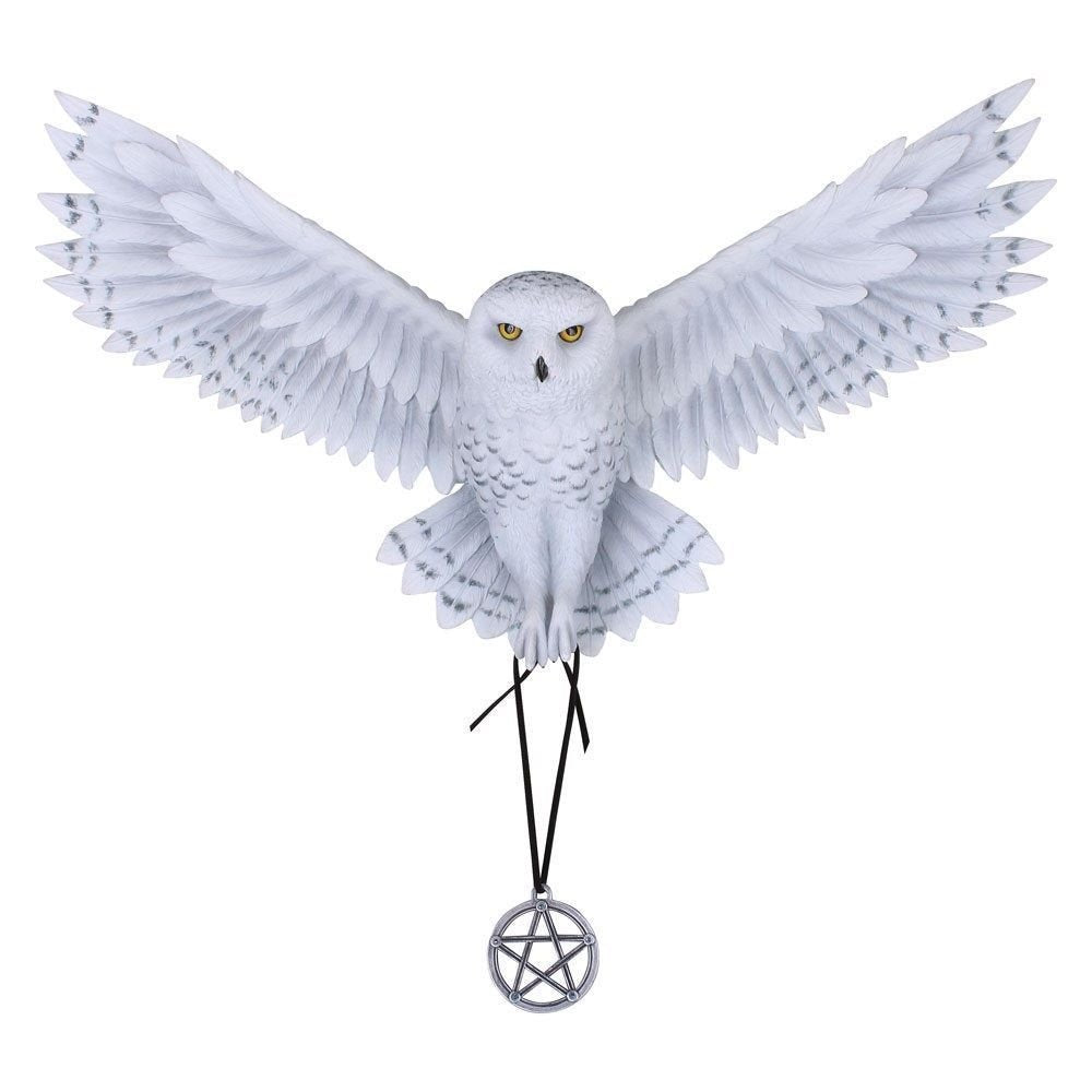 Awaken your Magic Owl Pentagram Wall Plaque 45cm 2