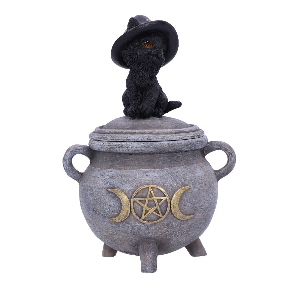 Witch Cat Cauldron Box 14cm Kittys Brew