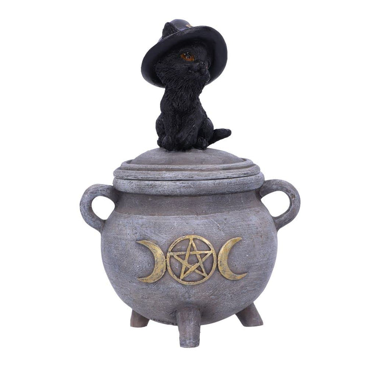 Witch Cat Cauldron Box 14cm Kittys Brew