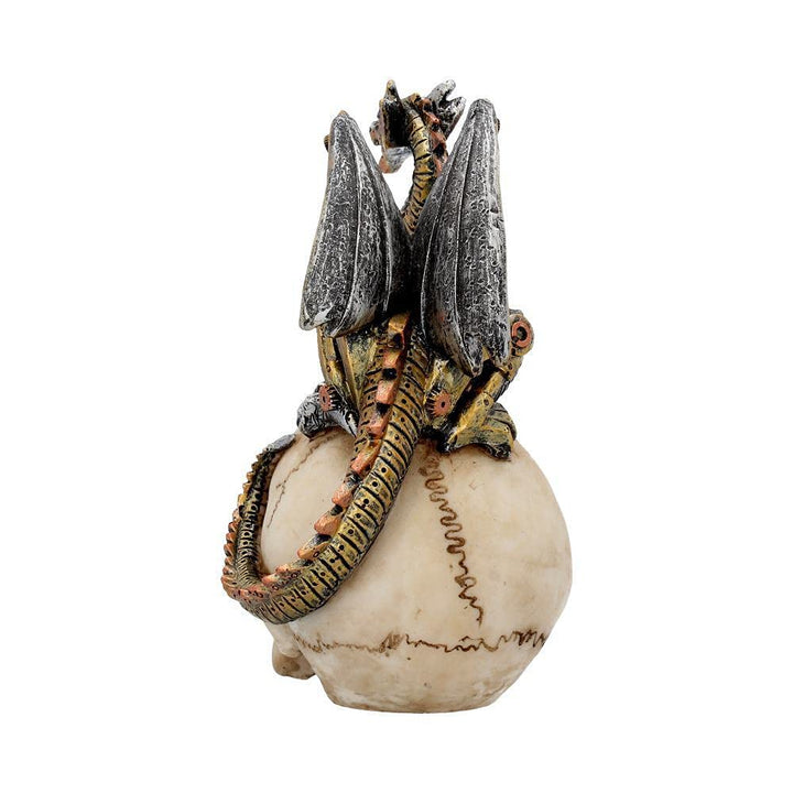 Dragons Grasp Steampunk Skull and Dragon 18.5cm