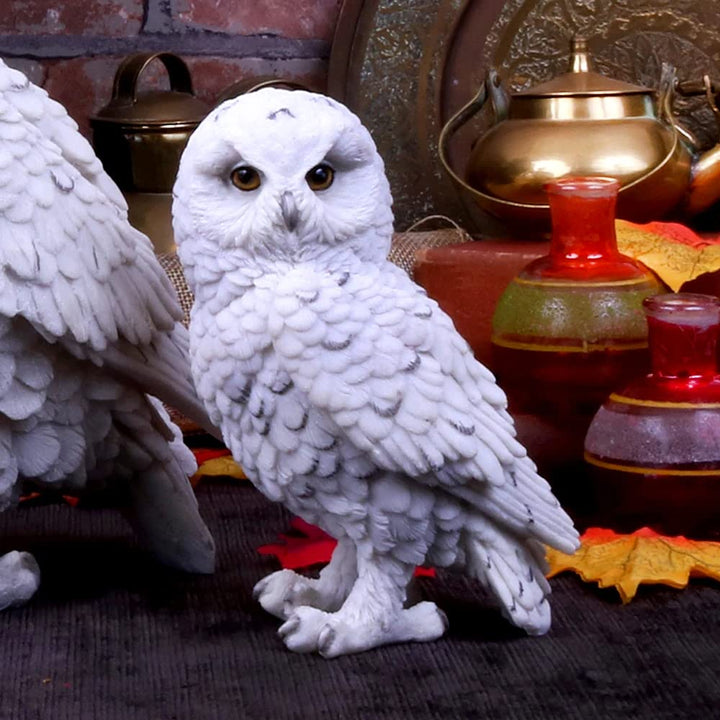 Snowy Watch Small White Owl Ornament 13.3cm