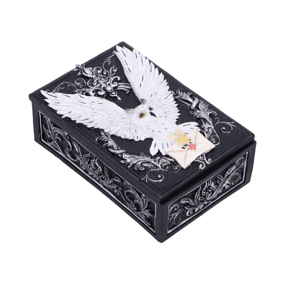 Owl Messenger Trinket Box 14cm