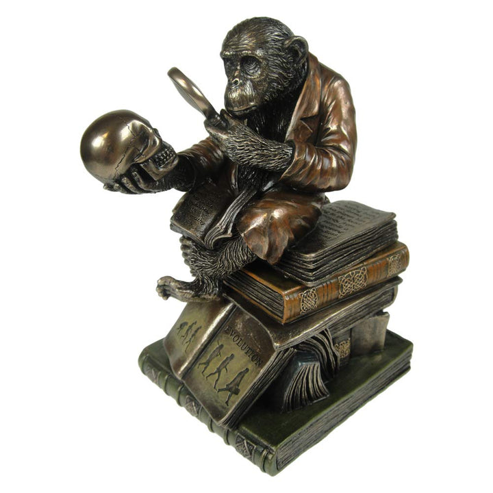 Darwinism of Evolutionary Theory Figurine Charles Darwin Chimpanzee Ornament 17.5cm