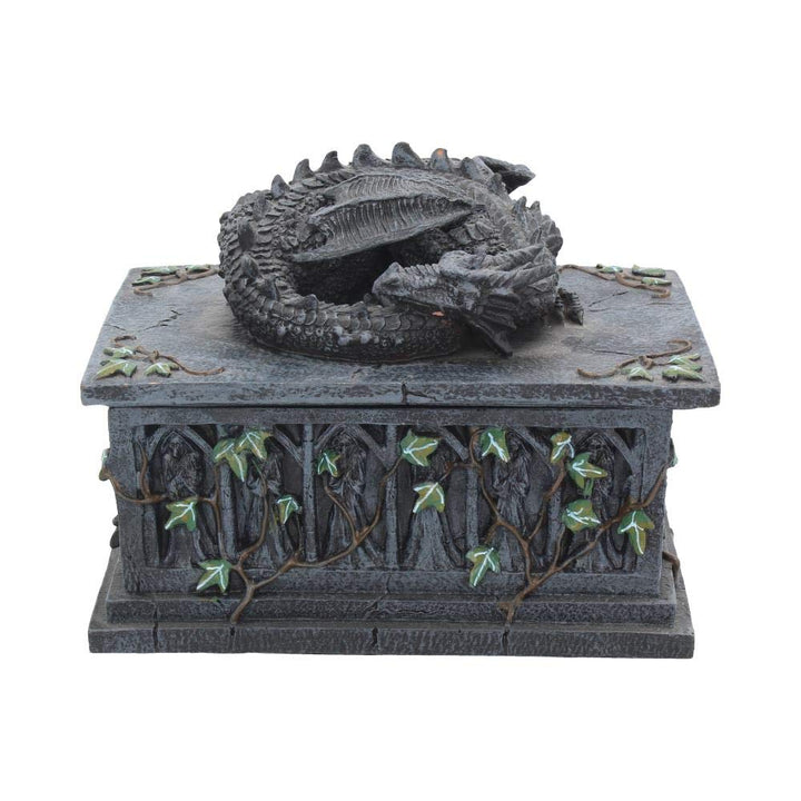 Dragon Ivy Tarot Card Holder Box 18cm
