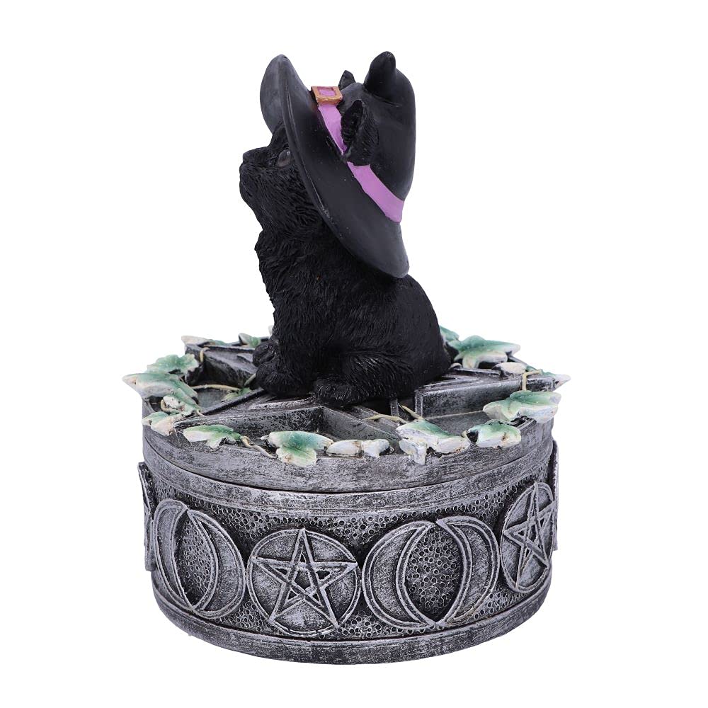 Ivy Familiar Box 15cm