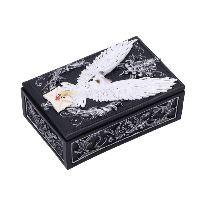 Owl Messenger Trinket Box 14cm