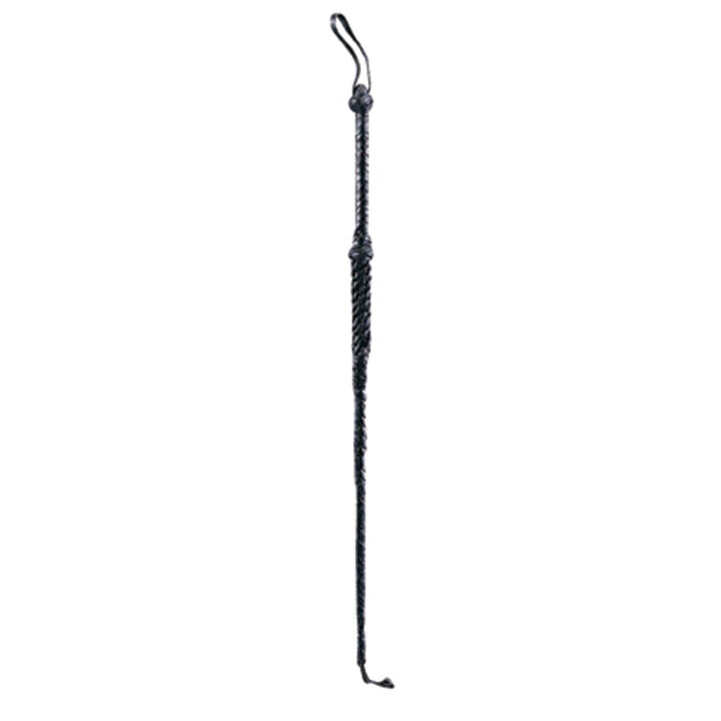 Riding Crop 1