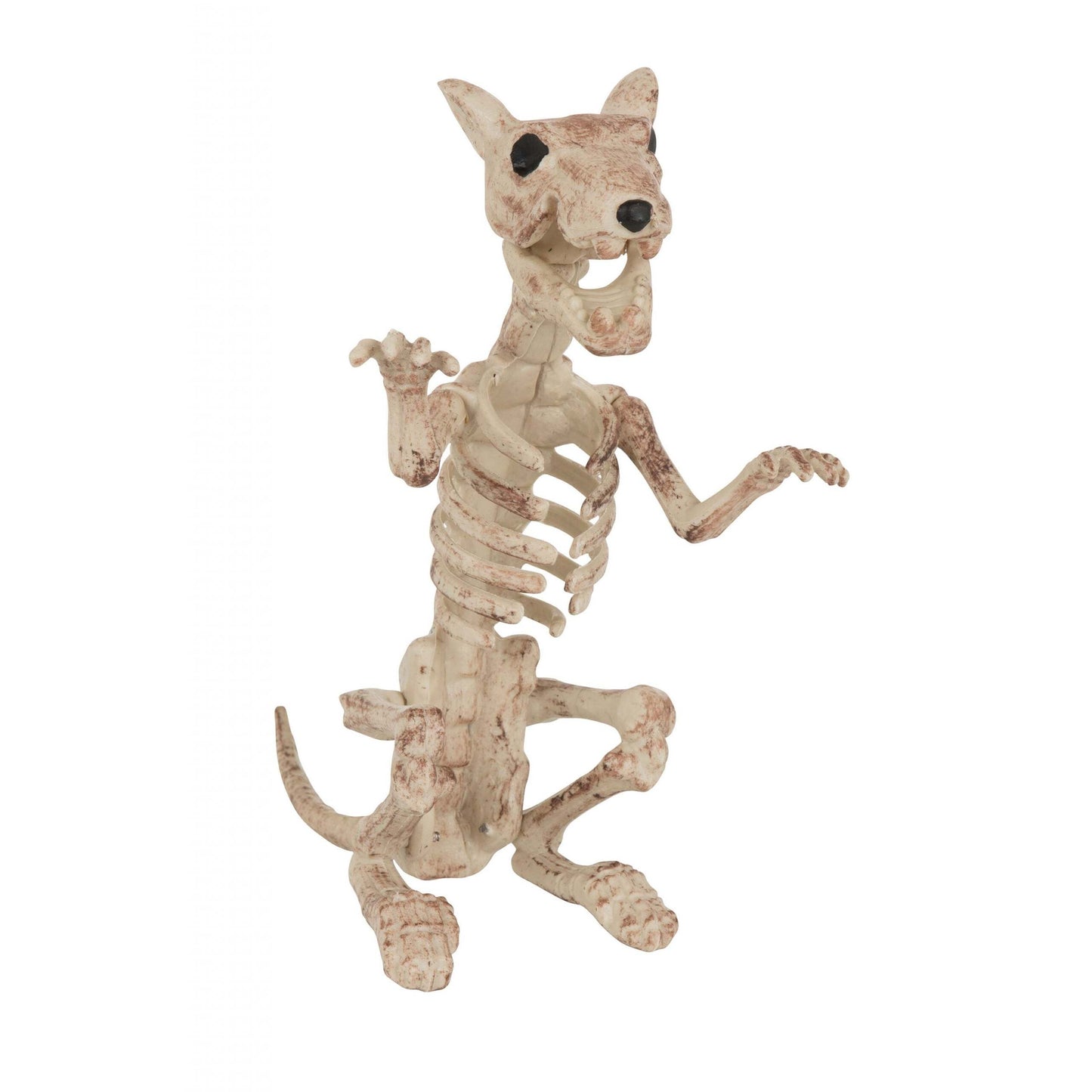 Skeleton Rat Halloween Items Unisex 1