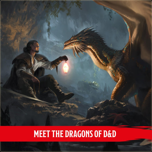 Dragon Delves Dungeons and Dragons DDN Roleplaying Game by Wizards of the Coast 2