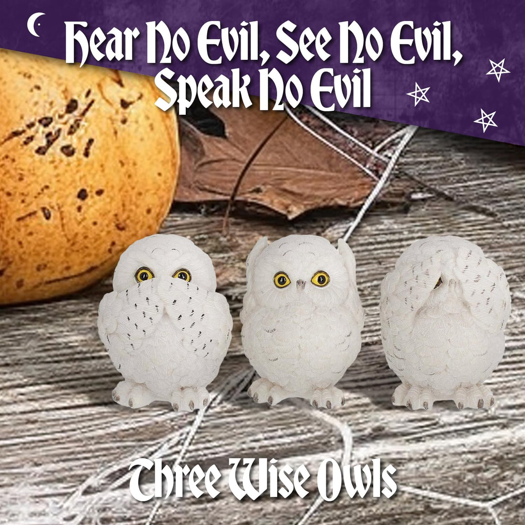 Three Wise Owls Resin Figurines 8cm
