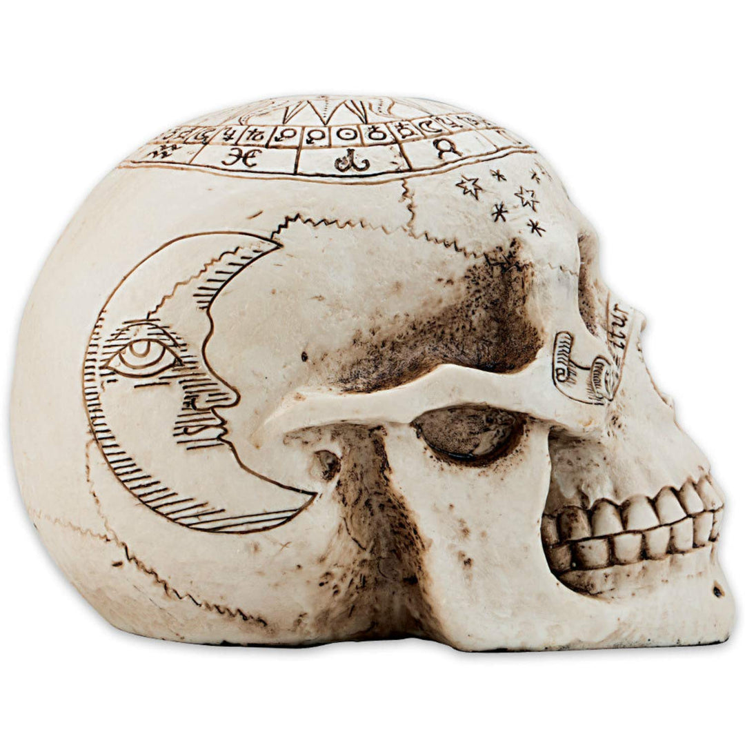Astrological Skull Engraved With The Zodiac Circle 20cm