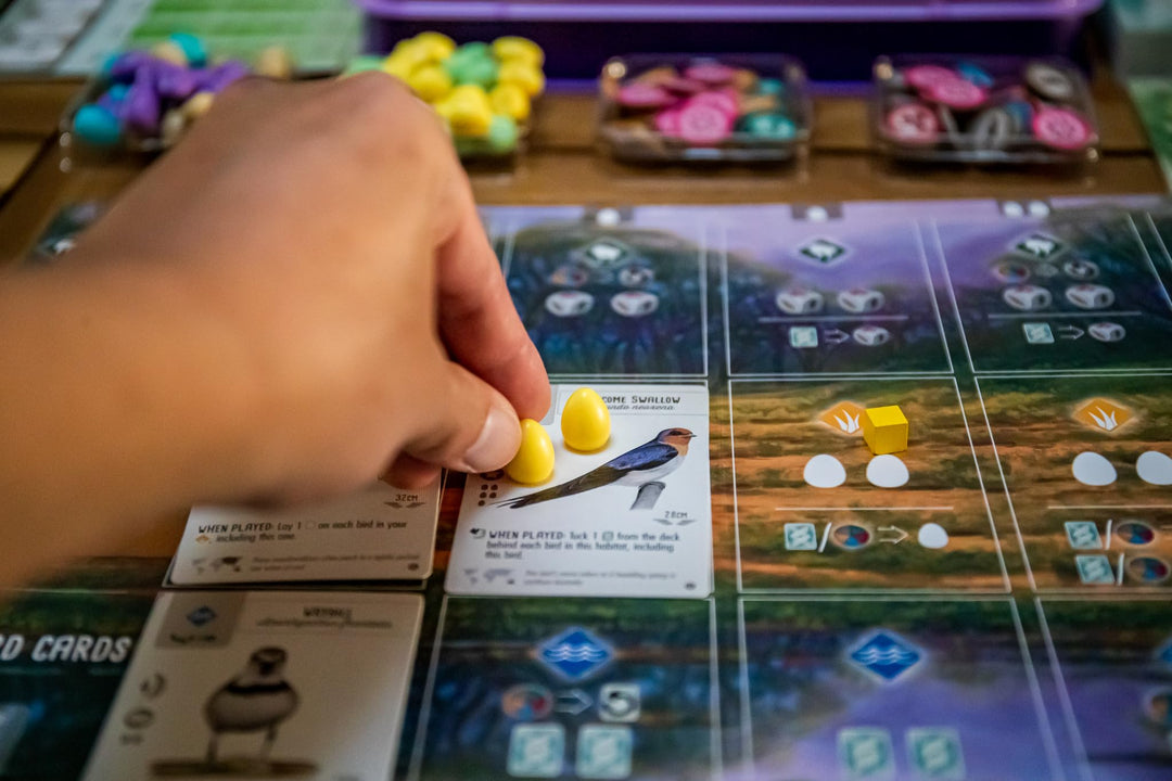 Wingspan Oceania Expansion Stonemaier Games