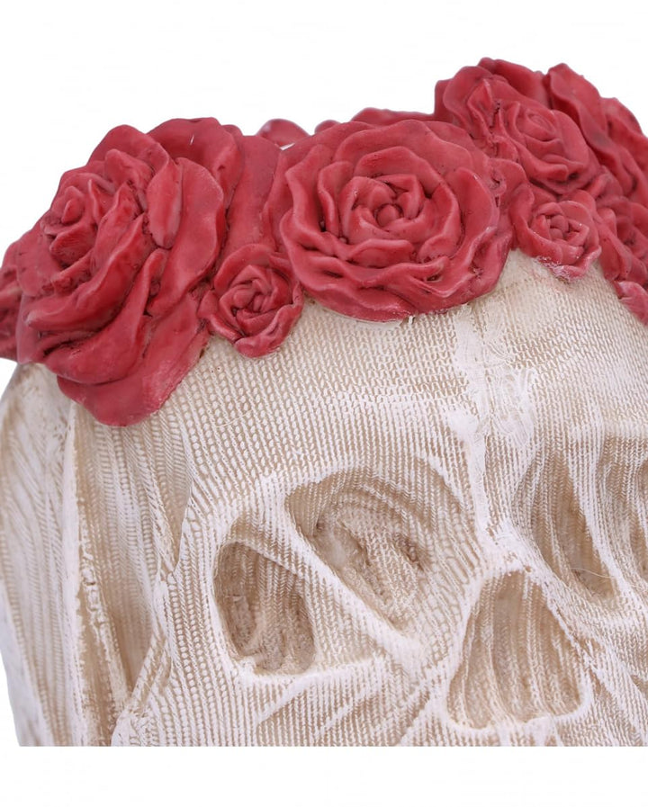 The Veil Skull Large 14.7cm