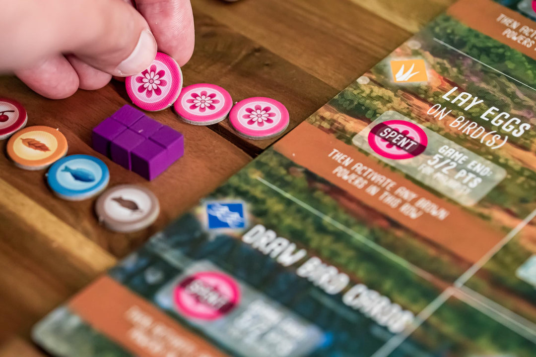 Wingspan Oceania Expansion Stonemaier Games