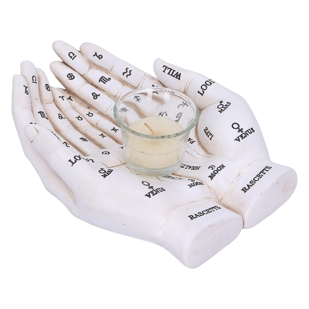 Palmists Guide White Chiromancy Hands Candle Holder 22.3cm