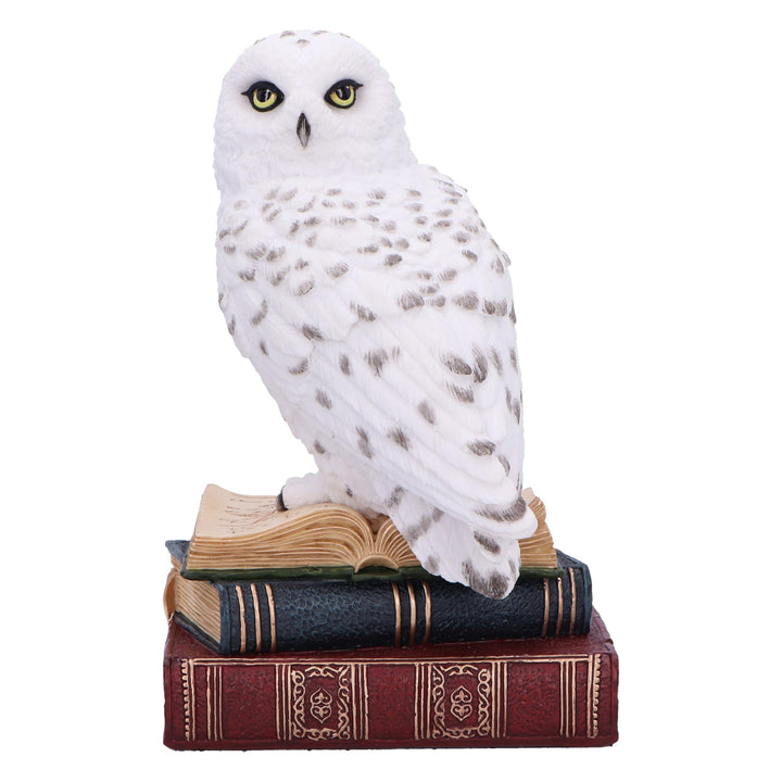 Library of Wisdom White Owl Figurine 17cm