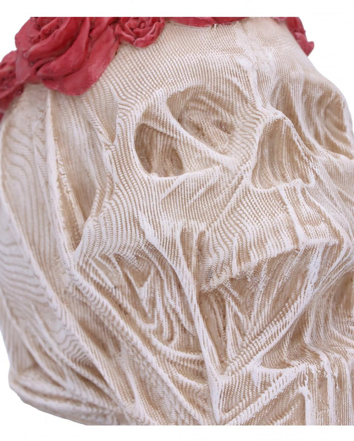 The Veil Skull Large 14.7cm