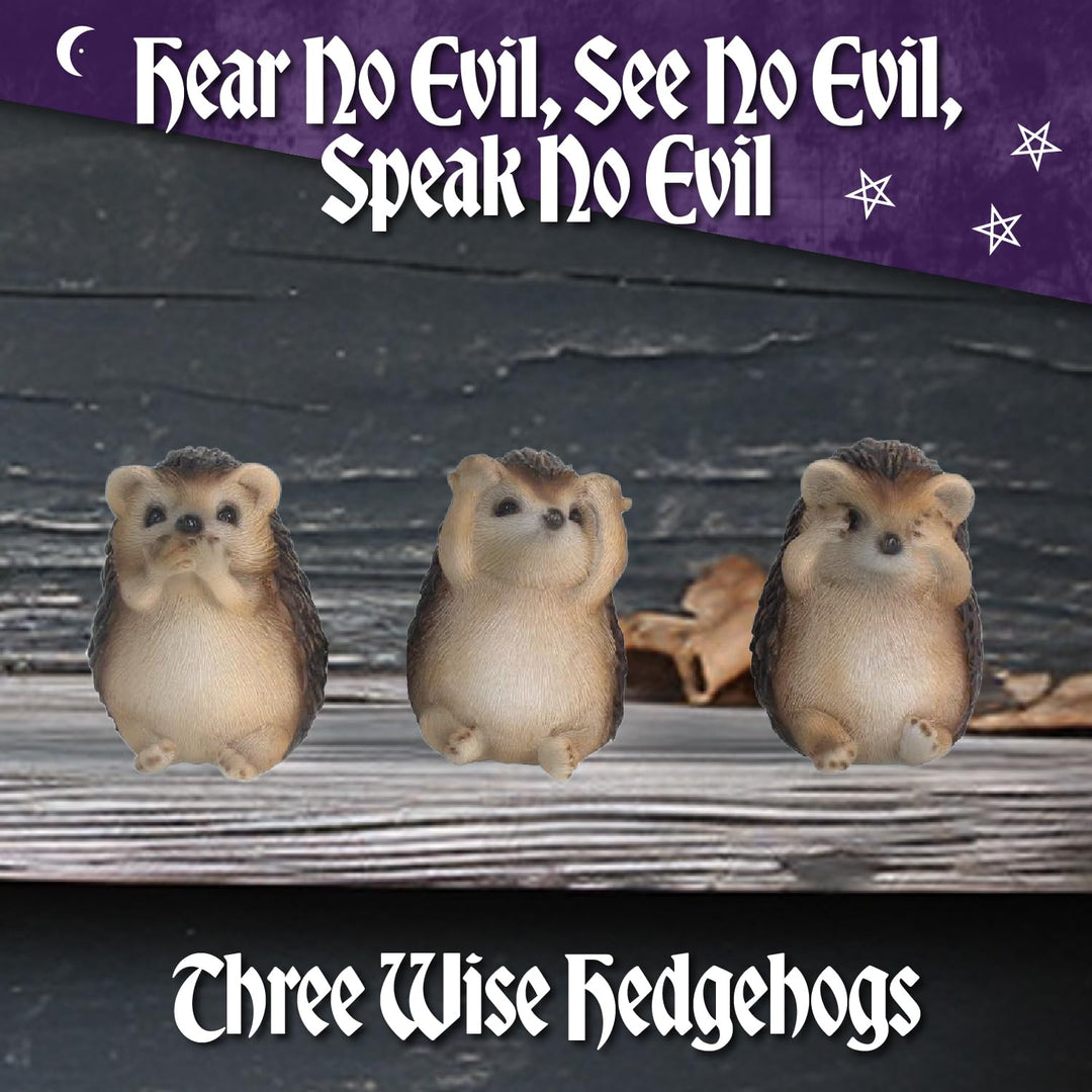 Three Wise Hedgehog Figurines Hedgehogs 9cm