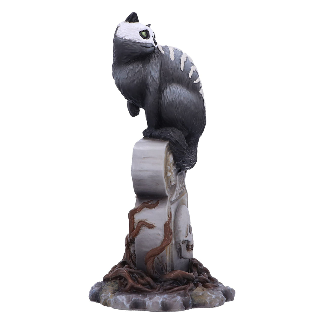 Gothic Skull Cat by Martin Hanford 15cm