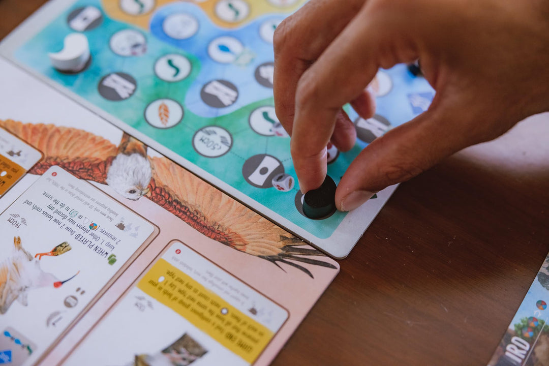 Wingspan Asia Board Game Standalone Expansion from Stonemaier