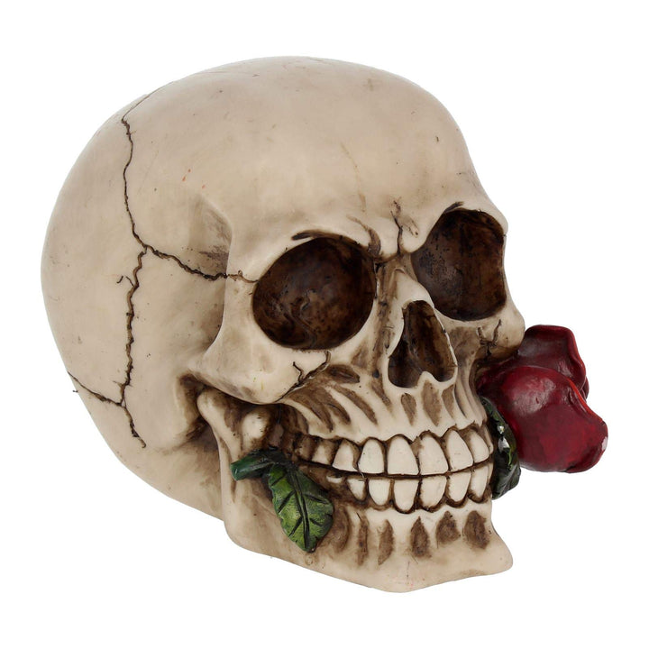 Rose From the Dead Skull Ornament 15cm