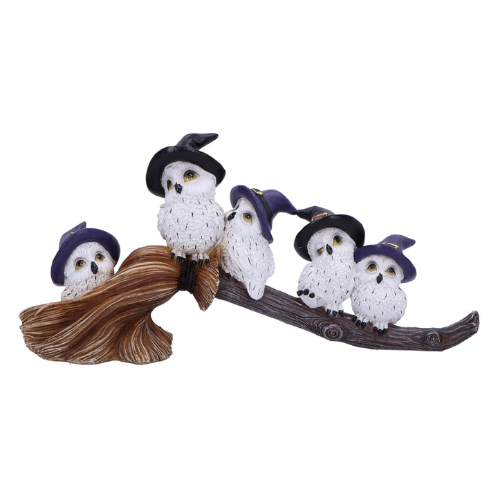 Feathered Owls on Broomstick Figurine 26cm