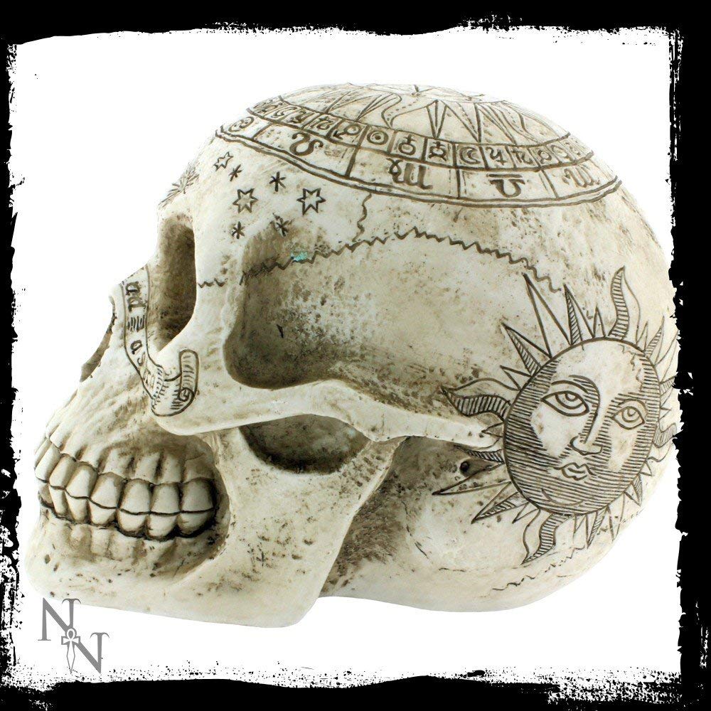 Astrological Skull Engraved With The Zodiac Circle 20cm