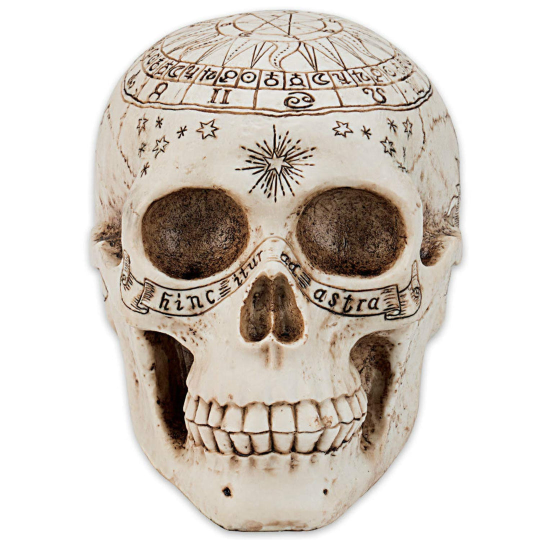 Astrological Skull Engraved With The Zodiac Circle 20cm