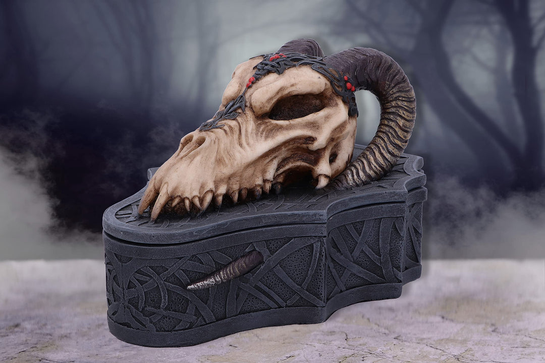 Dragon Skull Box Monte Moore 17.7cm
