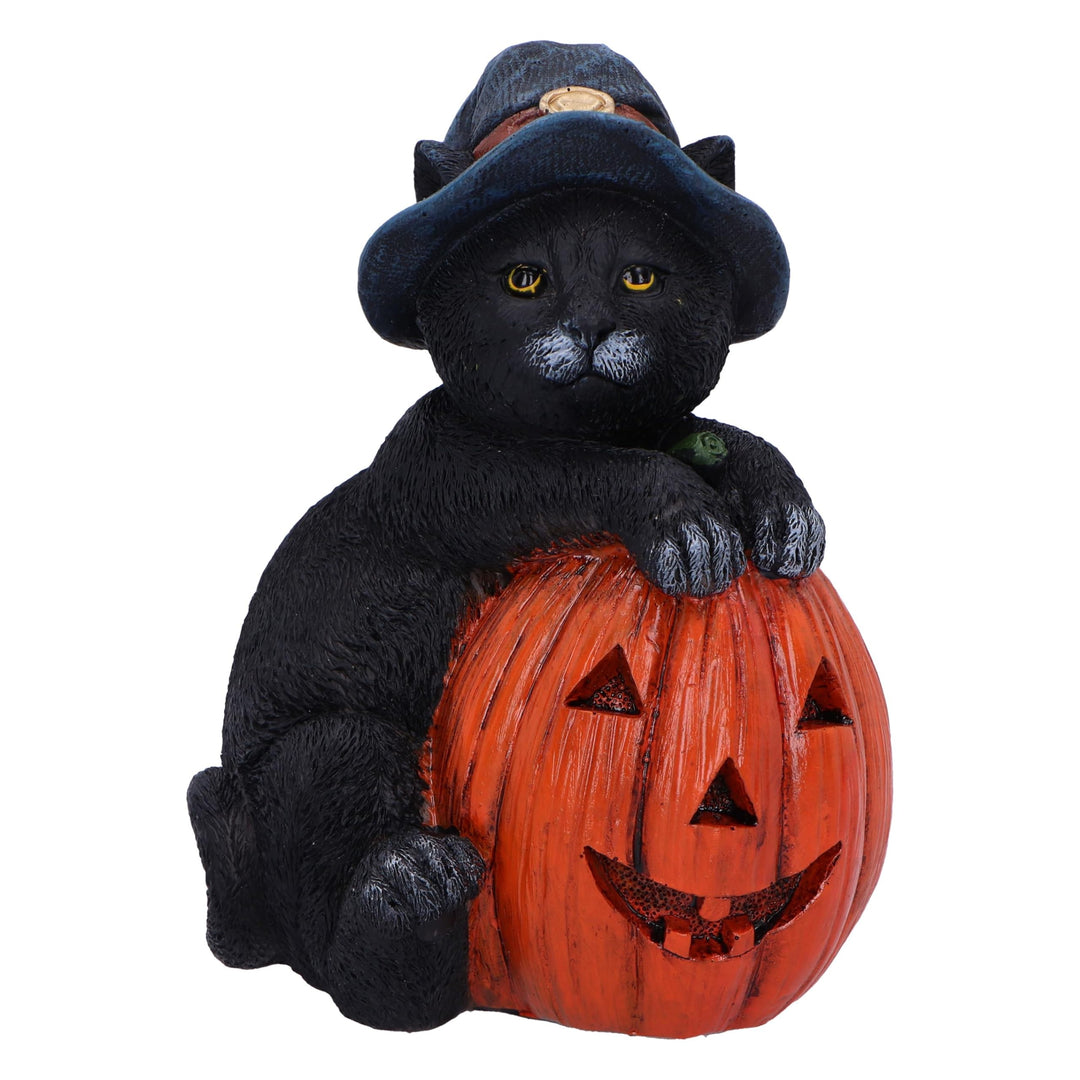 Trick or Treat Cat with Pumpkin Figurine 13cm